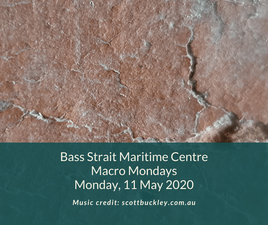 BSMC Marco Mondays11 May 2020