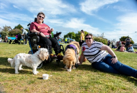 Pet dogs on leads at Spring Fling 2019