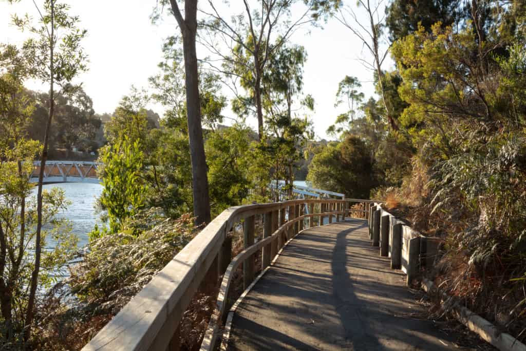 Image shows a bush walking track leading to a bridge