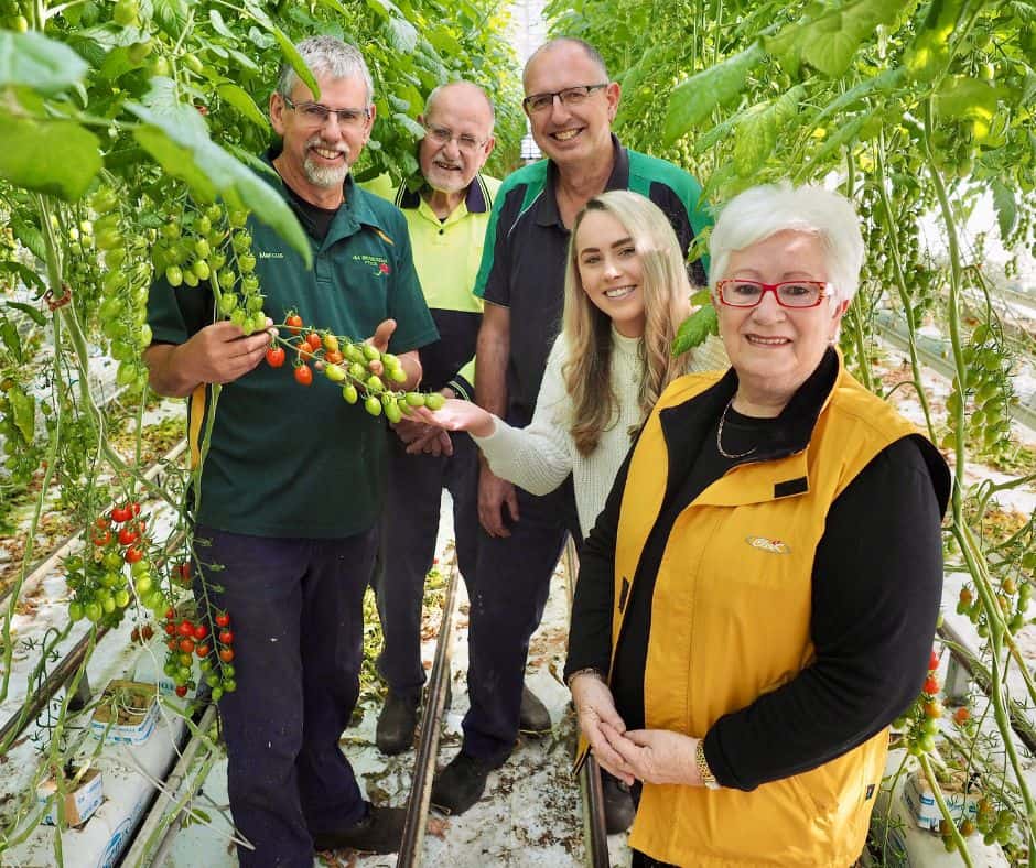 Five people standing in a row amongst tomato vines to promote the Devonport Food Festival.