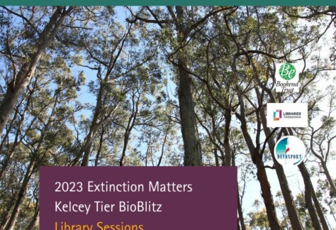 2023 Kelcey Tier BioBlitz Library Session 3 Facebook
