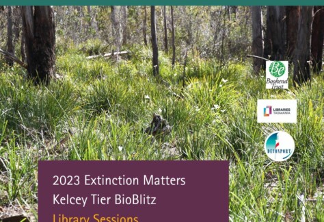2023 Kelcey Tier BioBlitz Library Session 4 Facebook